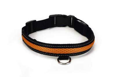 Beeztees Safety Gear Ruflo - Halsband Hond - Incl. Usb - L