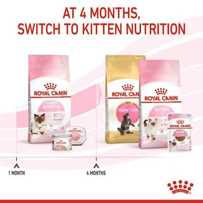 Royal Canin Mother & Babycat kattenvoer 4 kg