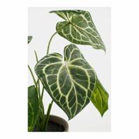 Decoratieve plant Mica Decorations Caladium Ø 21 x 28 cm Kunstmatig - thumbnail