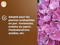 Potgrond OR BRUN 6 L - thumbnail