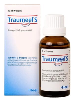 Heel Traumeel S Druppels 100ml Heel Traumeel S Druppels 100ml