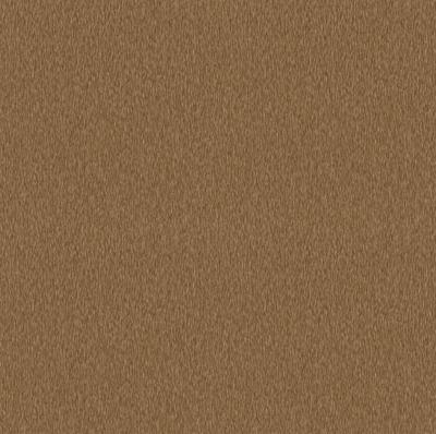 Dutch Wallcoverings Pavone - Verona Ginger