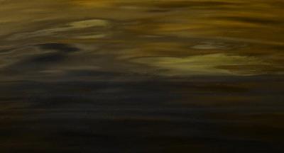 Muance Muance Fotobehang In the sun - MU13034