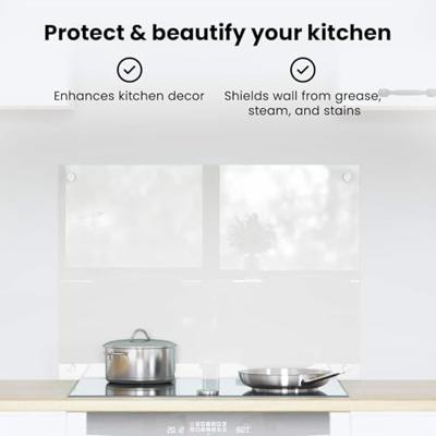 VidaXL Keuken achterwand doorzichtig 70 x 50 cm gehard glas