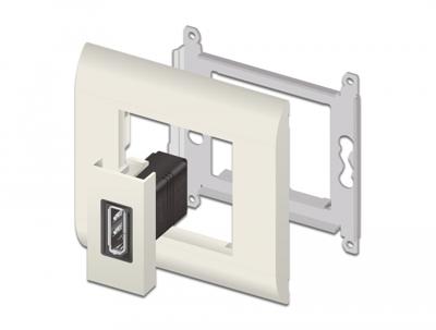 DisplayPort module DisplayPort module