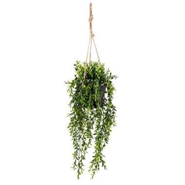 Zijdeplant Hangplant met pot Buxus kunstplant Driesprong Collection - Driesprong collection