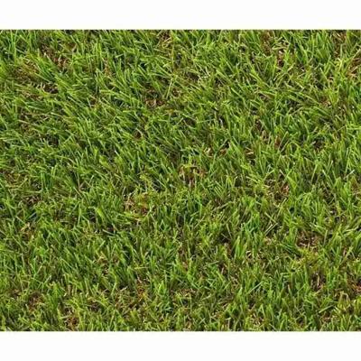 Gras - EXELGREEN - 124414 - Natura 2D - 38mm / 1 x 5 m