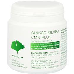 Naturapharma Ginko Biloba Capsules