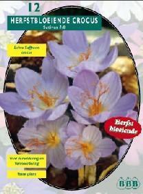 Herfstbloeiende krokus