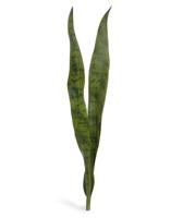 Sanseveria kunstplant 80 cm steker - thumbnail