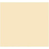 Fiches Iris Beige 50 x 65 cm - thumbnail