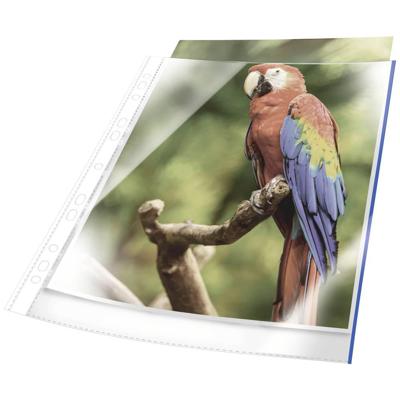 Durable Showtassen PREMIUM DIN A4 Polypropyleen Blauw (helder) 265406 10 stuk(s)