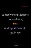 Samenwerkingsgerichte hulpverlening bij multi-gestresseerde gezinnen (Paperback) - thumbnail