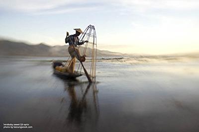 LensBaby Composer Pro II Canon met Sweet 50