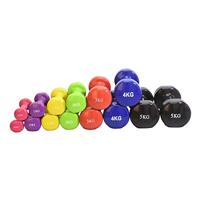 Vinyl Dumbbells - Focus Fitness - 2 x 3 kg - thumbnail