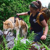 Non-stop dogwear® Hondentuig Rock Harness Long, black/orange, Maat: L - thumbnail