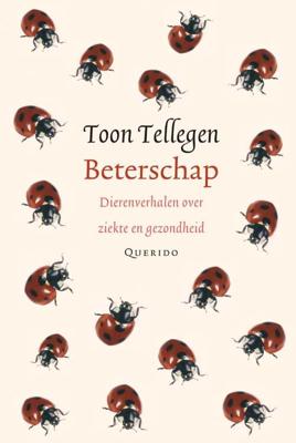 Beterschap - Toon Tellegen - ebook
