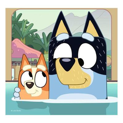 Set van 3 Puzzels Ravensburger 147 Onderdelen