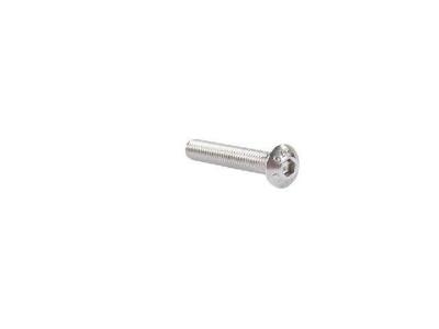 Bofix Bout xtrabike inbus bolkop m5x20 rvs