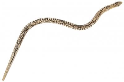 Duckiez Lg-imports houten kronkel slang