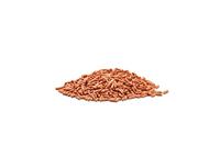 Oase DYNAMIX Sticks Colour 20L - Kleurversterkend Visvoer voor Gezonde Vijvervissen - thumbnail