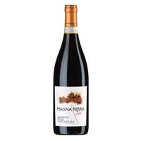 Magna Terra Amarone Della Valpolicella - thumbnail