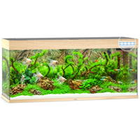 Juwel aquarium Rio 240 LED met filter zwart Juwel Gebr. de Boon - Gebr de boon - thumbnail