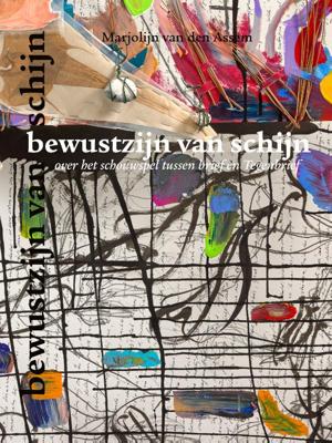 bewustzijn van schijn (Hardback) bewustzijn van schijn (Hardback)