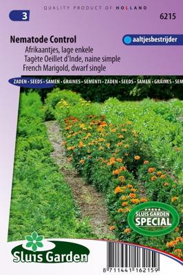 Tagetes zaden Nematode Control afrikaan