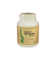 OPC-Quatro Botanic (module 4) - thumbnail