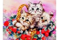 Diamond painting set in de aanbieding - thumbnail