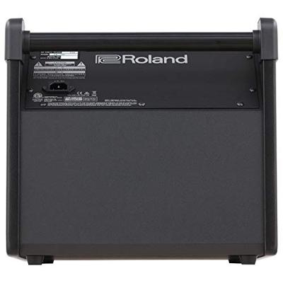 Roland PM-100