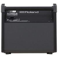 Roland PM-100 - thumbnail