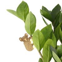 Plant Animal - Koala - thumbnail