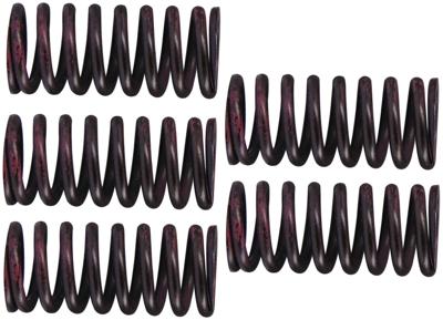 TRW koppelingsveer set clutch spring kit mef316-5