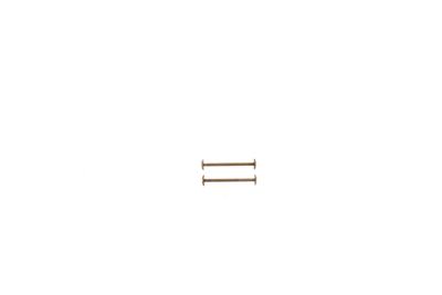 Michael Kors Bandbevestigingsschroeven MK5410 - 26mm - 2 stuks Michael Kors Bandbevestigingsschroeven MK5410 - 26mm - 2 stuks