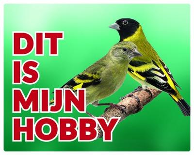Zwartkopsijs Waakbord - Dit is mijn Hobby Zwartkopsijs Waakbord - Dit is mijn Hobby