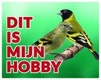 Zwartkopsijs Waakbord - Dit is mijn Hobby - thumbnail