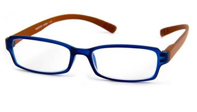 Leesbril INY Hangover G45900 Bruin / Blauw-+3.00 Leesbril INY Hangover G45900 Bruin / Blauw-+3.00
