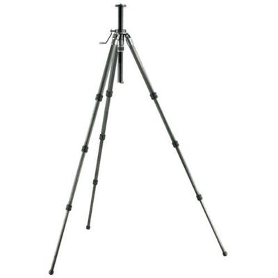 Gitzo GT2541G Serie 2 Carbon 6X statief (Seg. 4, G-Lock, ALR Power Disk Crankstel)