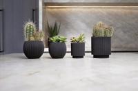 Vaas cilinder Groove 11x12 zwart binnenbloempot Capi Europe - Capi europe - thumbnail