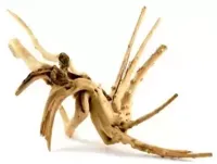 Superfish Spiderwood small 20-30cm - thumbnail