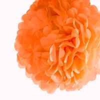Folat BV Oranje pompom - thumbnail