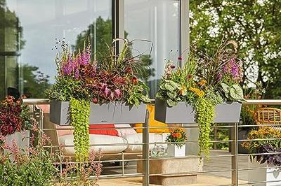 Lechuza Balconera L80xB19xH19 schiefer all-inclusive - thumbnail