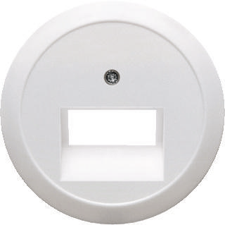 Centraalplaat UAE doos 2 x RJ45 Berker 1930 polar wit 1409