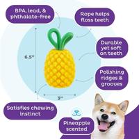 Outward Hound Dental Pineapple - thumbnail