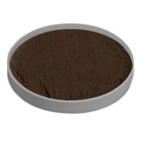 Grimas Water Make-up pure N1 zwartbruin 25ml - thumbnail