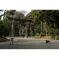 Sigma 30mm f/1.4 DC DN Fuji X-Mount - thumbnail