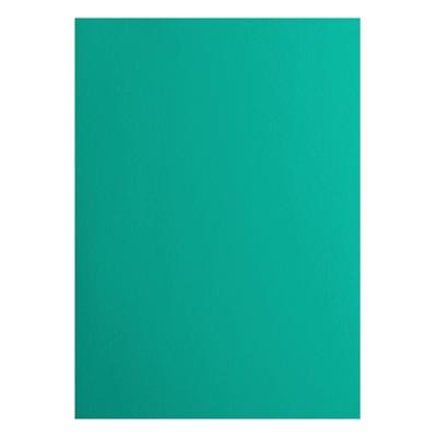 Florence • cardstock papier 216g glad a4 spa 10x