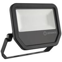 LEDVANCE LED Bouwlamp 50W 6500K zwart - 5017532 - thumbnail